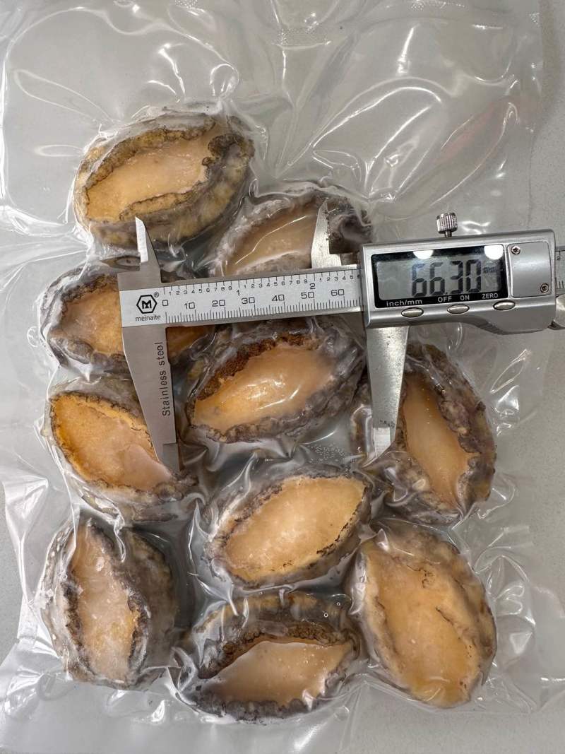 带壳鲍鱼单冻鲍