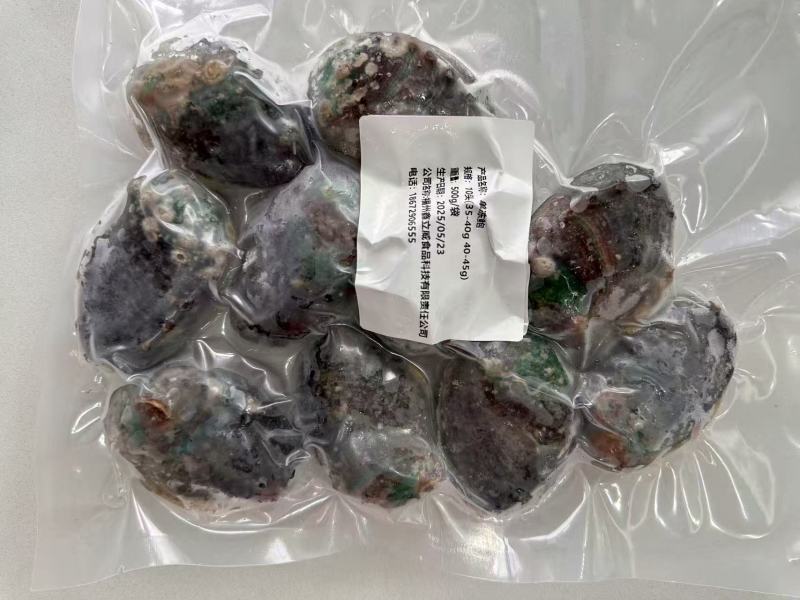 带壳鲍鱼单冻鲍