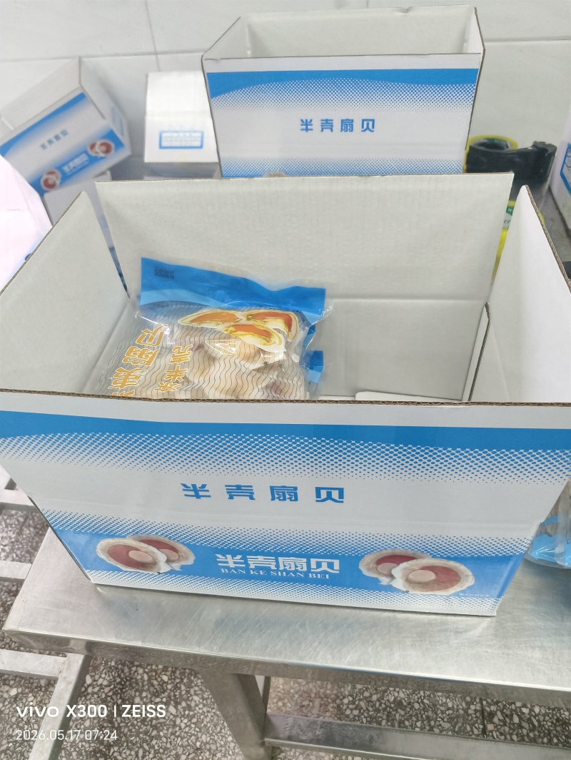 半壳贝夏邑贝大量现货供应，规格齐全保质保量，电联可议价