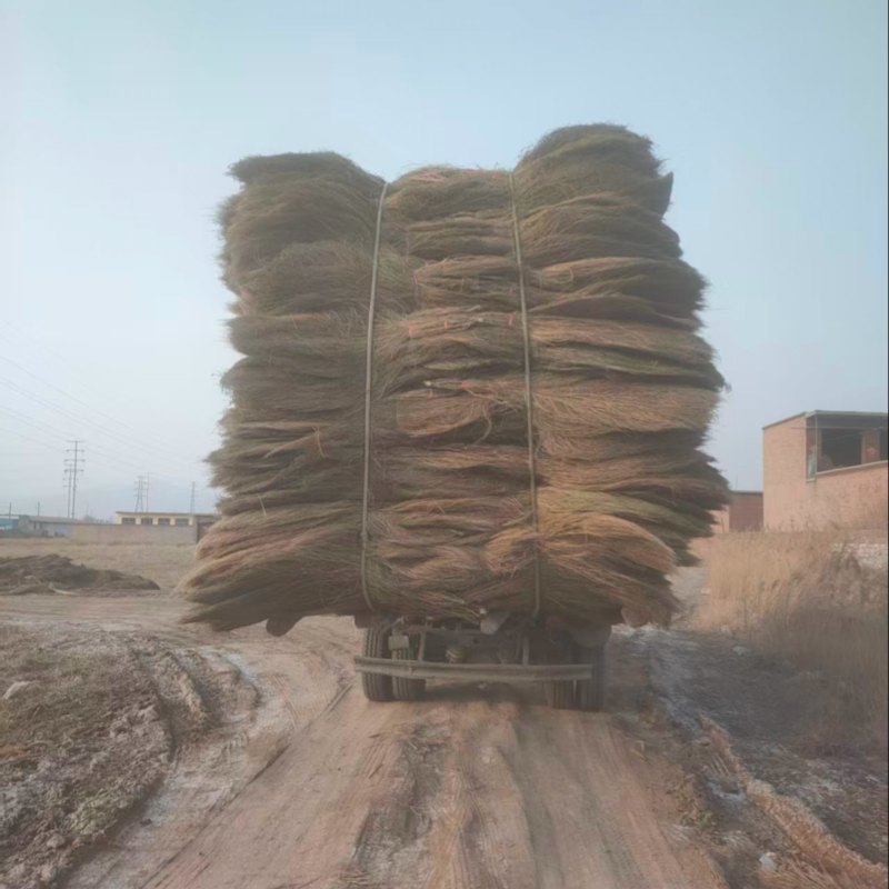 山西扫帚清徐县扫把耐用结实环卫工地自产自销