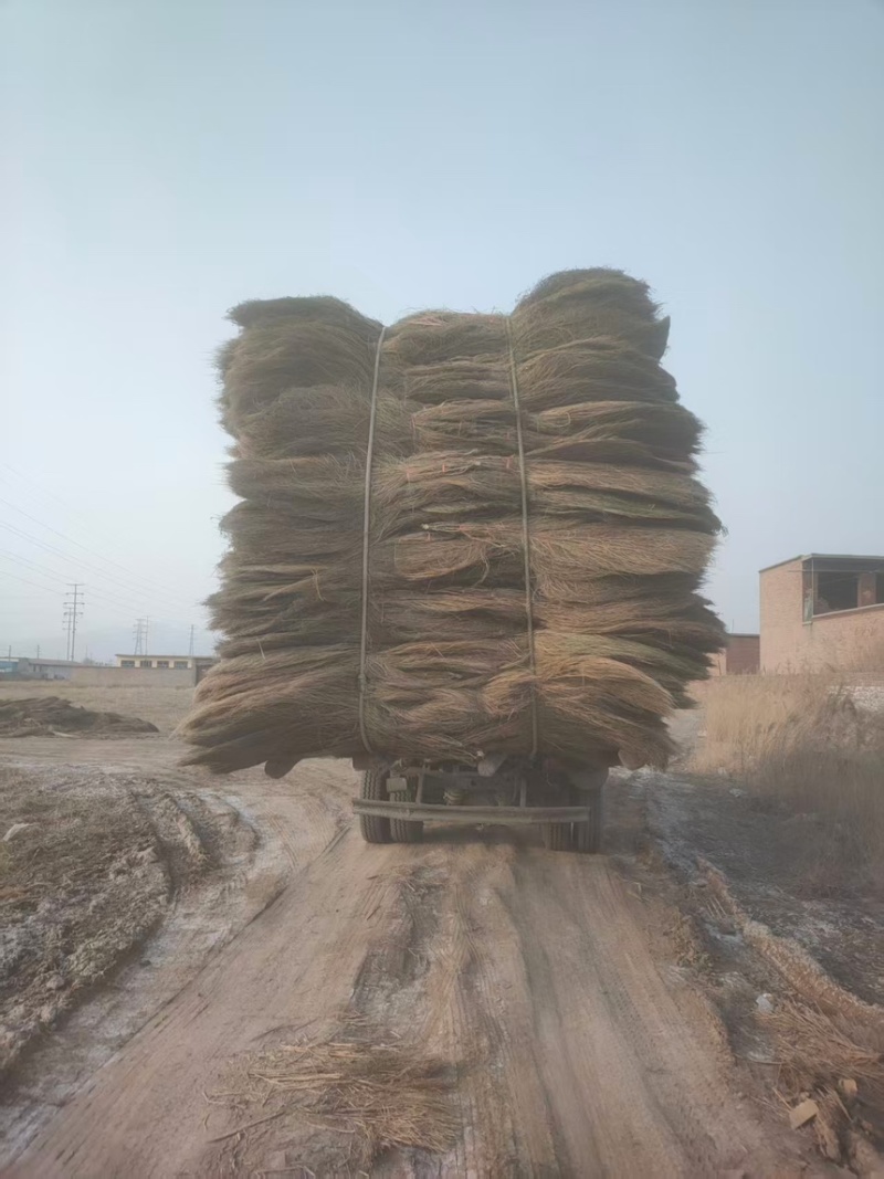 山西扫帚清徐县扫把耐用结实环卫工地自产自销