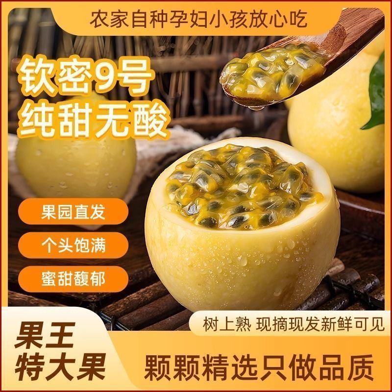 徐闻百香果/钦蜜9号百香果/广东百香果/产地直供大量有货