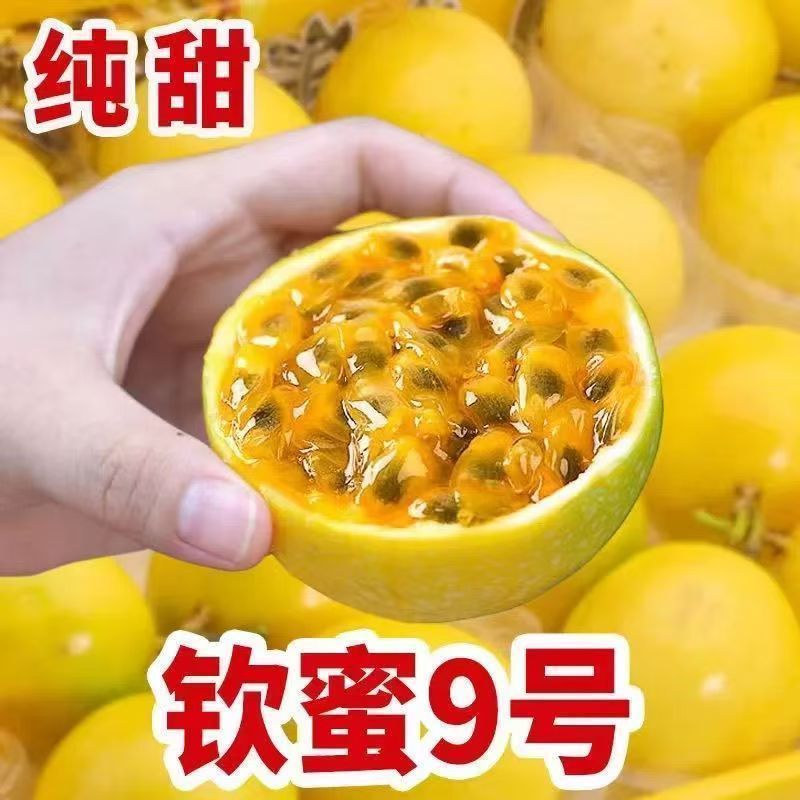 徐闻百香果/钦蜜9号百香果/广东百香果/产地直供大量有货
