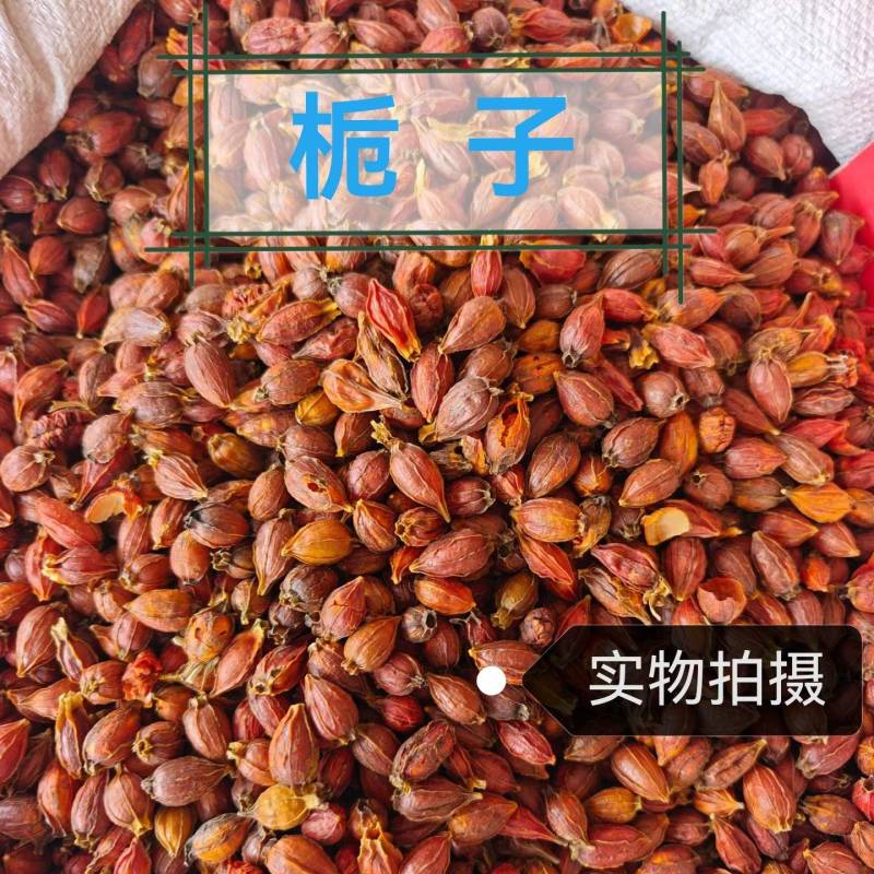 栀子中药材道地药材自然晾晒干净无杂中药材