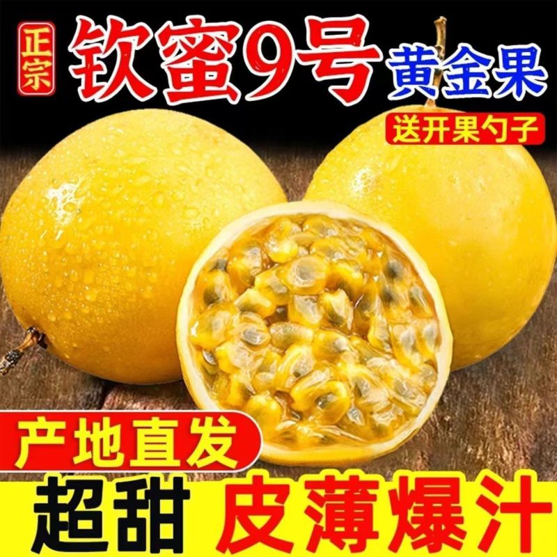 广东百香果/徐闻百香果/基地供货一手货源/可视频看货