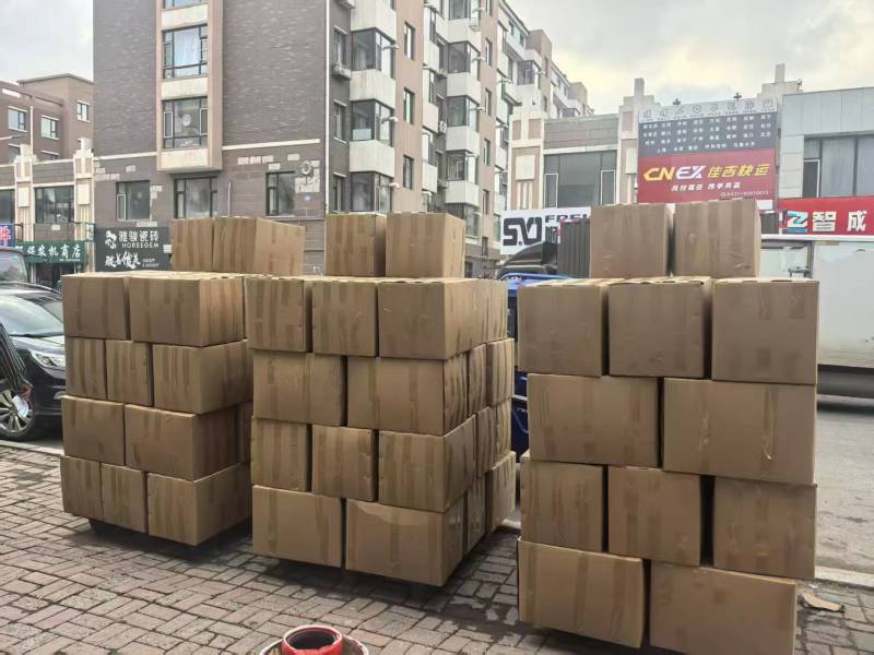 山东聊城阳谷县供货中药级美洲大蠊卵鞘蟑螂精品卵块可看货