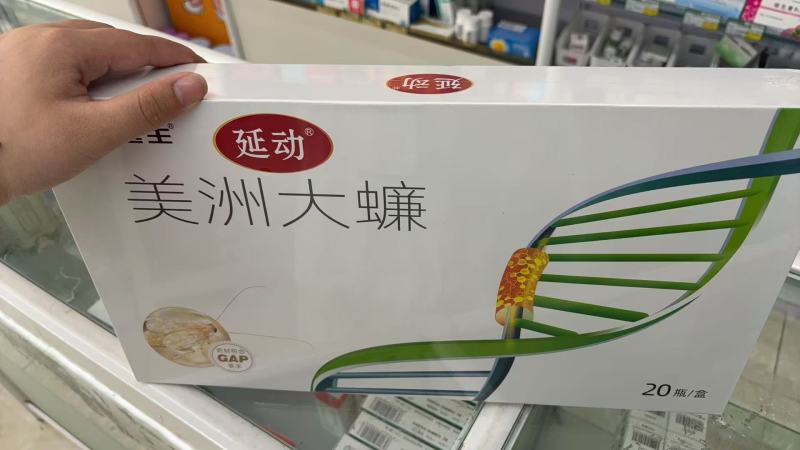 美洲大蠊精粉，超微研磨精粉，脱脂精粉，原粉