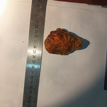 鸡主：产自重庆雪宝山柴鸡鸡宝.精品干货：重约52克。