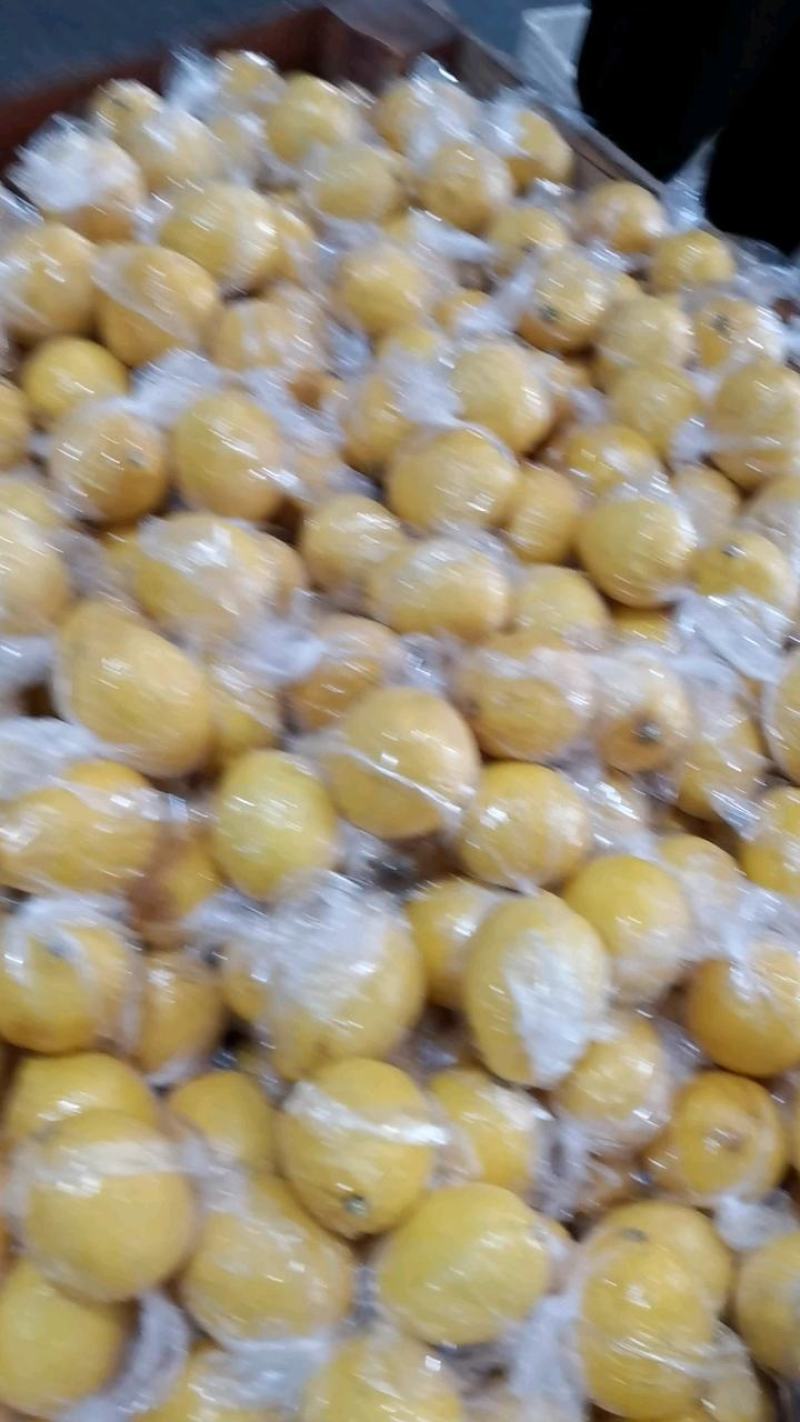 正宗安岳柠檬精品一级果100-150g.规格齐全