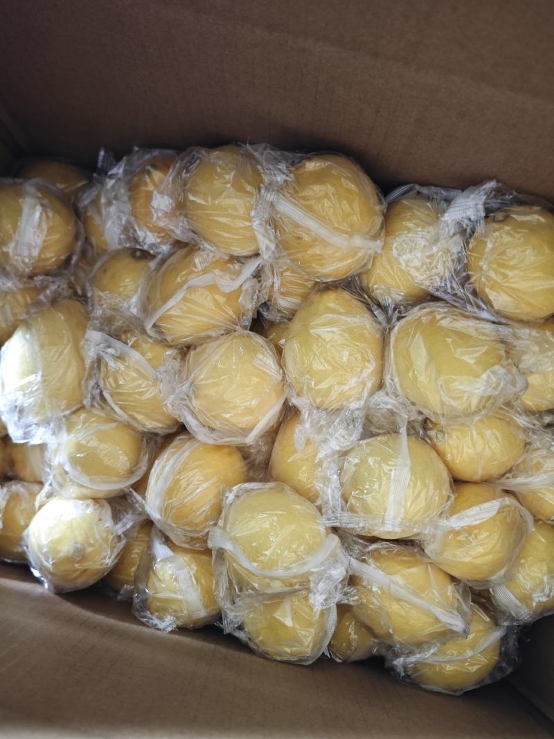 正宗安岳柠檬精品一级果100-150g.规格齐全