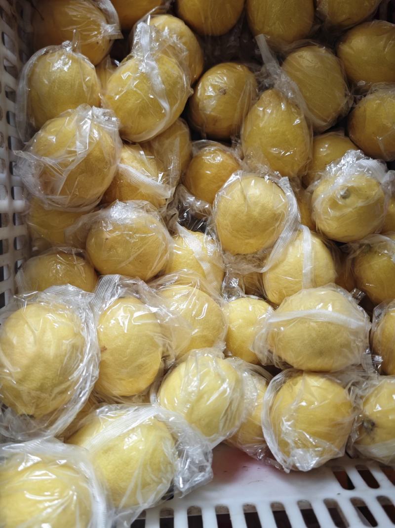 正宗安岳柠檬精品一级果100-150g.规格齐全