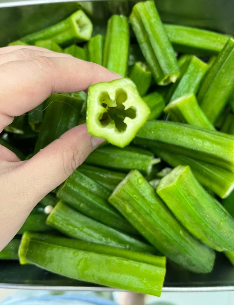金葵9号秋葵，山东秋葵，量大从优，对接批发市场，欢迎电联