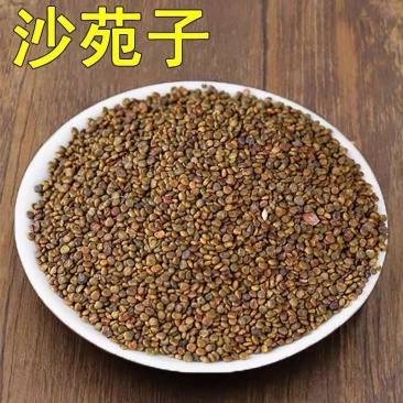 水洗沙苑子色选净货道地陕西渭南大荔产区过风过筛