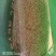 薏米薏米仁薏仁规格齐全量大从优