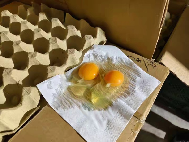 精品农家土鸡蛋粉壳的出超市个人有需要的电话联系我吧