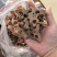 檀香药用檀香正品保证规格齐全味道浓郁品质保证