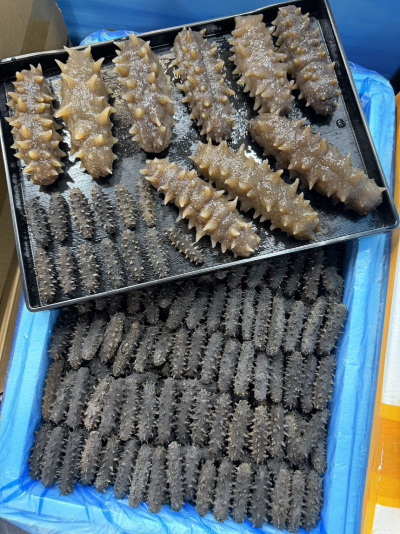 国标A高品质高刺海参