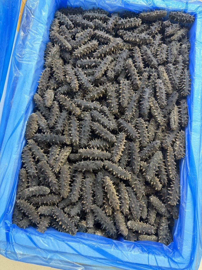 国标A高品质高刺海参