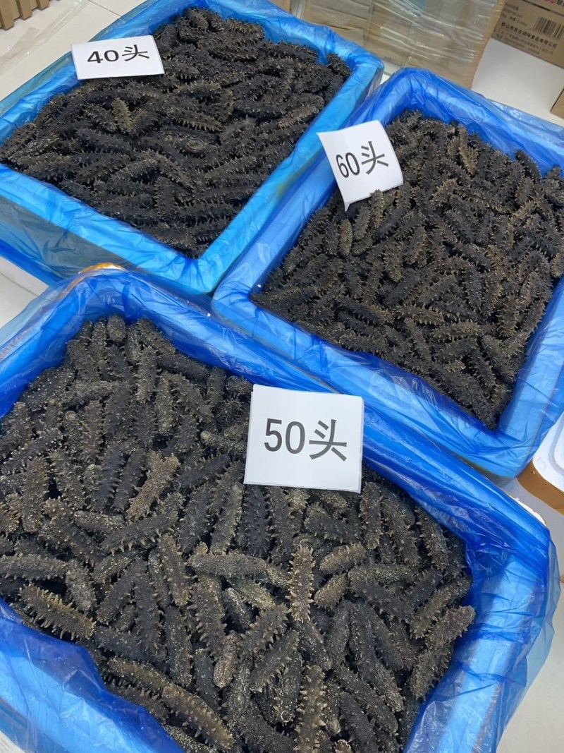 国标A高品质高刺海参