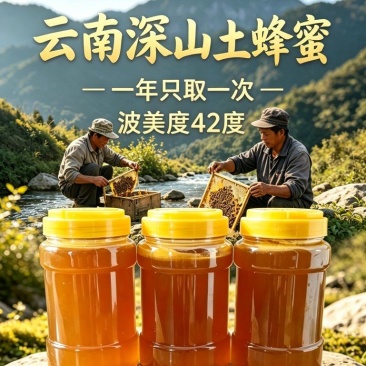 一年一采一级土蜂蜜云南深山原蜜百花蜜现采现卖蜂农直供