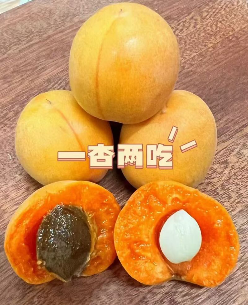 吊干杏