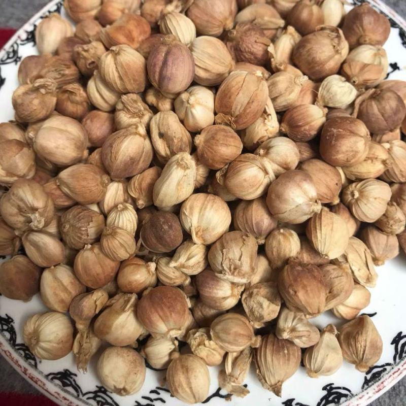 白蔻全干无硫正宗白豆蔻香料白蔻白扣粉卤水中药材批发零售