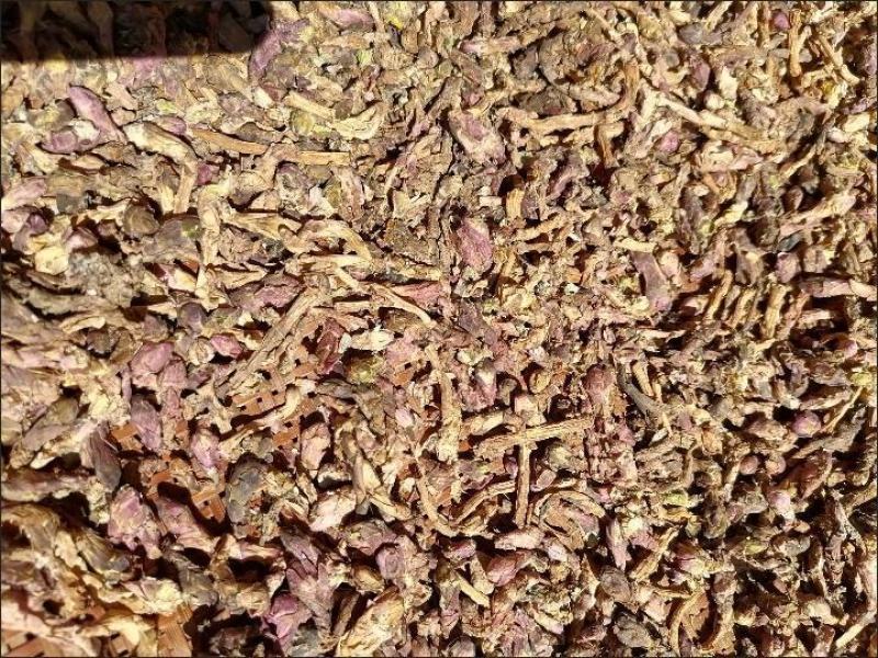 款冬花中药材野生款冬花天然无硫款冬花艾冬花批发零售
