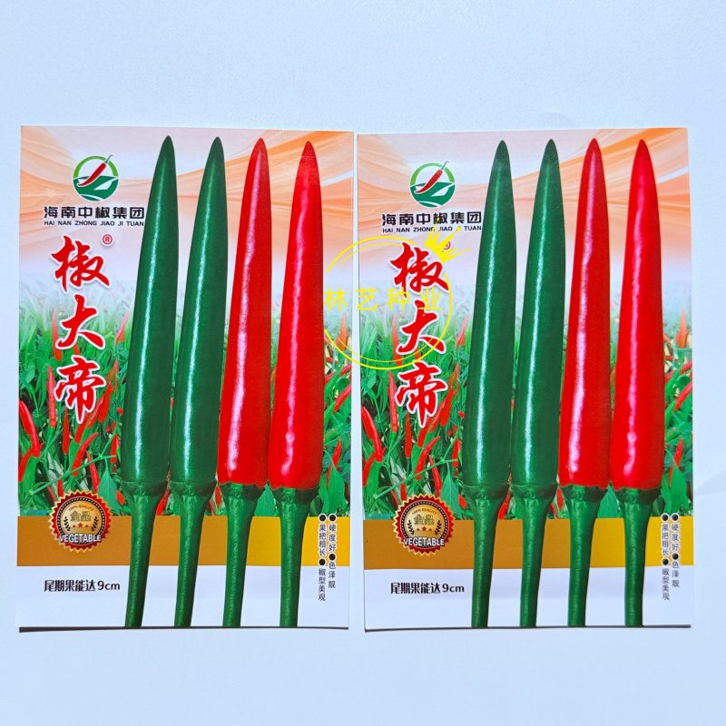 椒大帝大果朝天椒种子中晚熟耐热耐湿抗病强辣度高硬度好青红