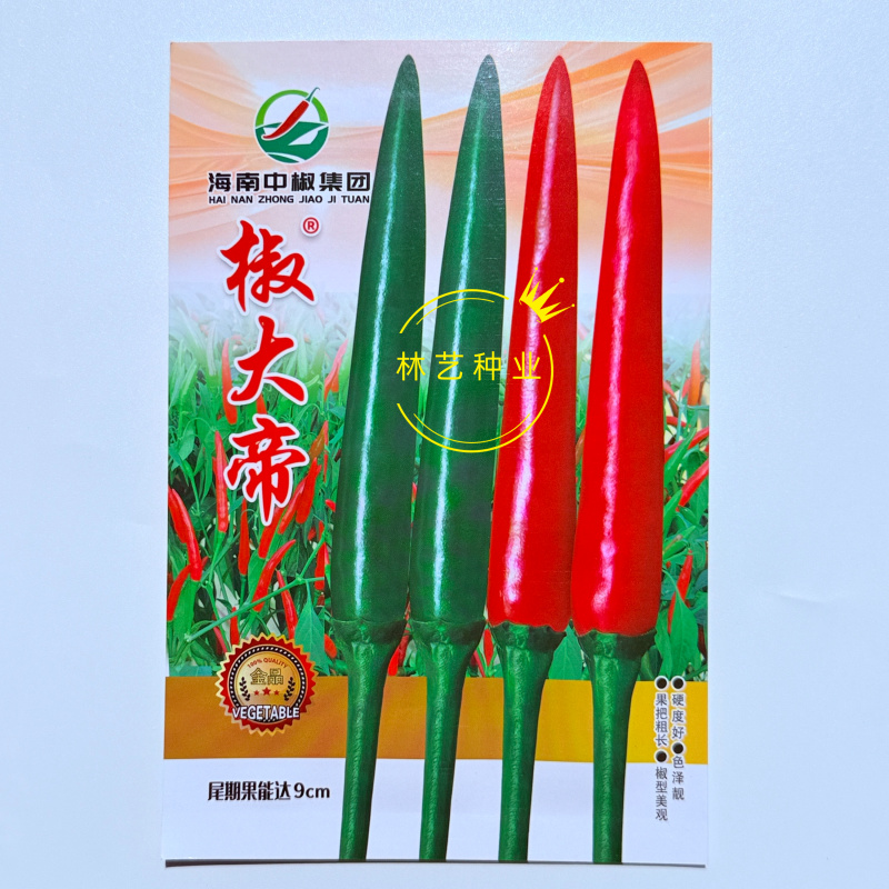 椒大帝大果朝天椒种子中晚熟耐热耐湿抗病强辣度高硬度好青红