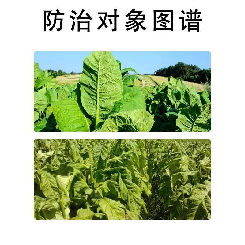 30.2%抑芽丹水溶液剂烟草抑芽控腋芽烟草生长调节剂