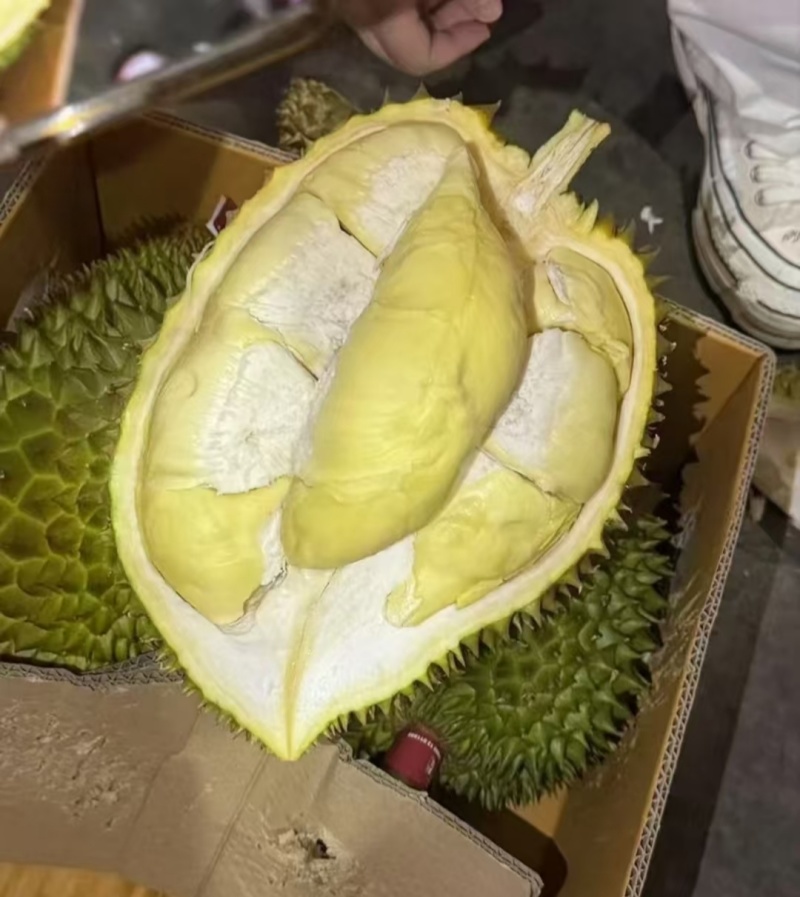 金枕榴莲一手批发价格，A果保5房，坏果包赔，包售后