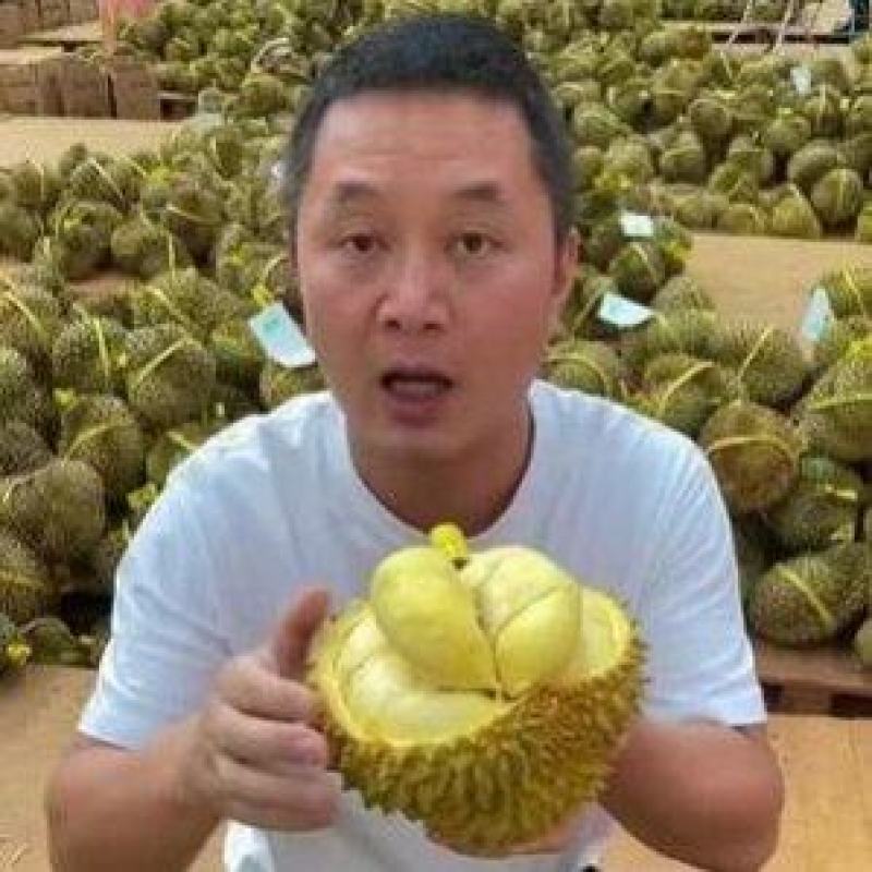 金枕榴莲一手批发价格，A果保5房，坏果包赔，包售后