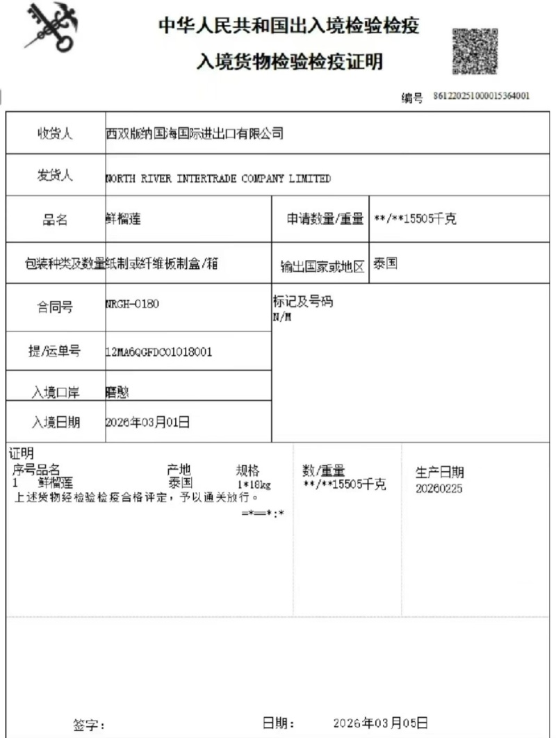 泰国沙竹山竹一手批发价格，质量保证，坏果包赔，包售后