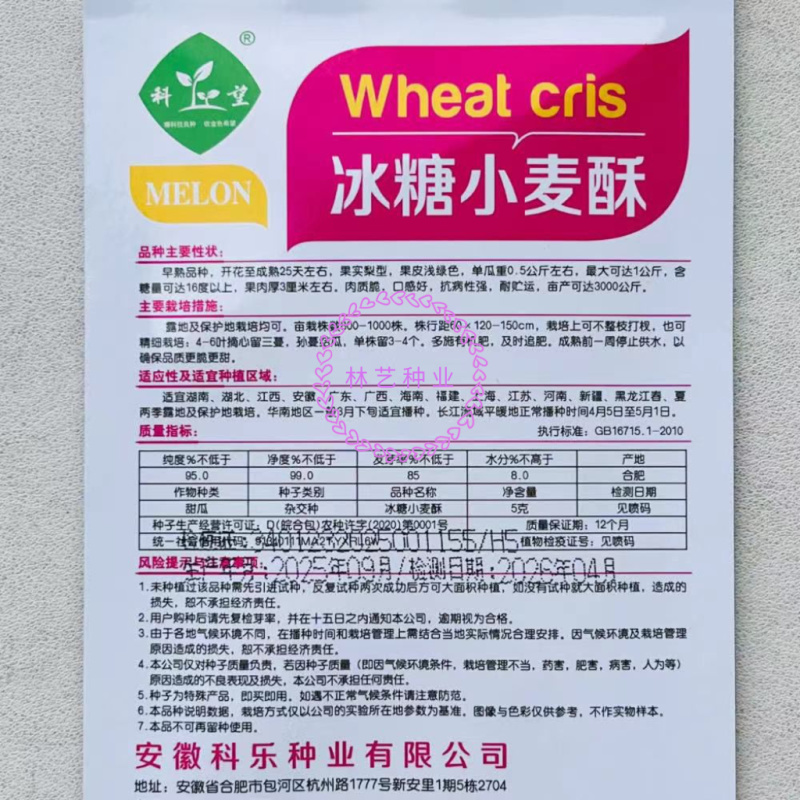 冰糖小麦酥早熟甜瓜种子果实梨型肉质脆口感好抗病性强
