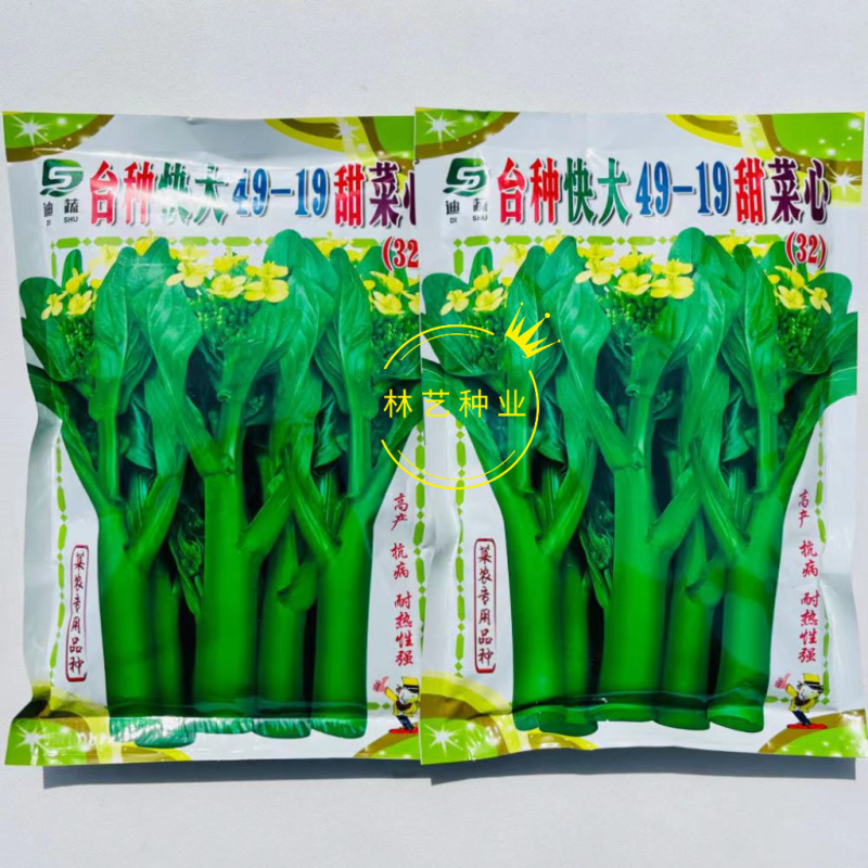 台种快大49-19甜菜心种子高产抗病耐热性强叶柄短菜