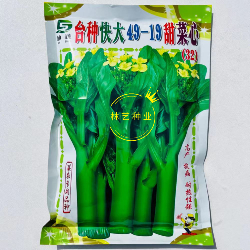 台种快大49-19甜菜心种子高产抗病耐热性强叶柄短菜