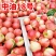 中油18号/湖北随县基地直供/现摘现发/量大从优/全国发