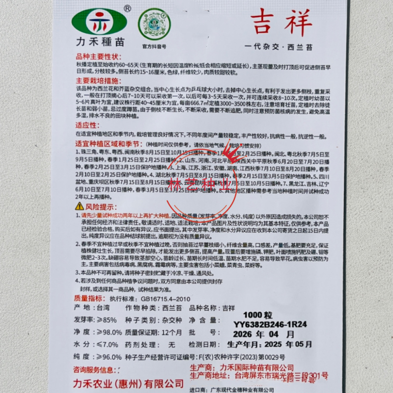 吉祥一代杂交西兰苔种子多茬采收基地专用蔬菜种子春秋播种