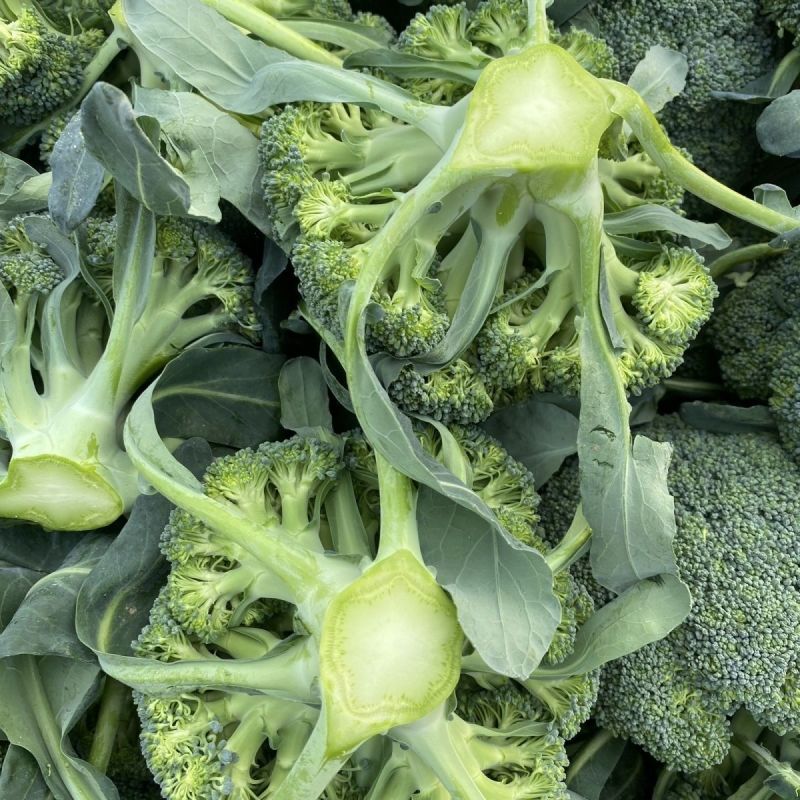 彩铃西兰花种子植株直立球形圆整较紧实色绿粒中细高产优质
