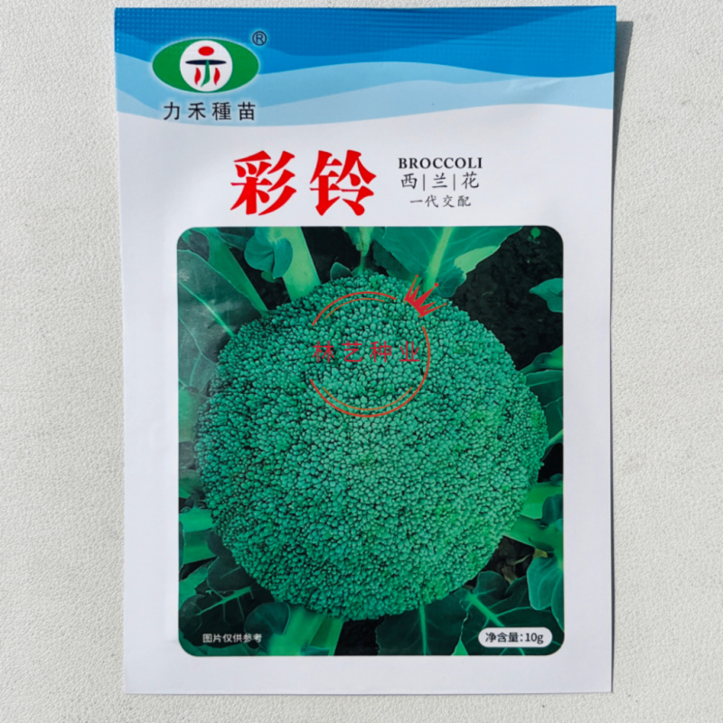彩铃西兰花种子植株直立球形圆整较紧实色绿粒中细高产优质