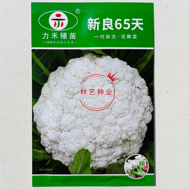 新良65天一代杂交花椰菜(松花菜)种子花球外观优质