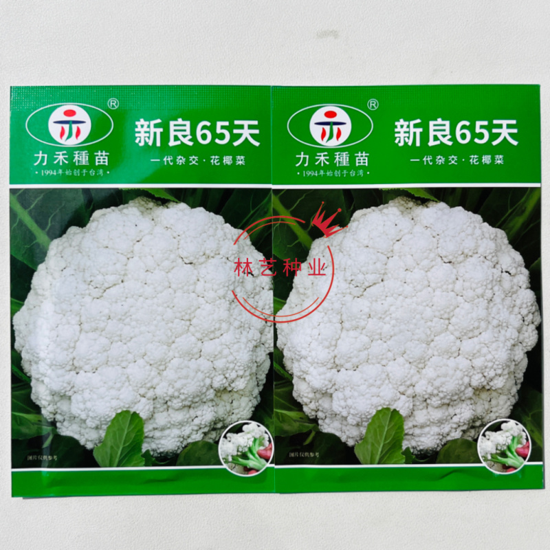 新良65天一代杂交花椰菜(松花菜)种子花球外观优质