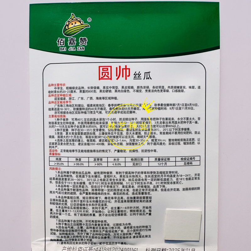 圆帅肉丝瓜种子绿皮绿肉脆甜不黑化高产抗病采收期长短棒丝瓜