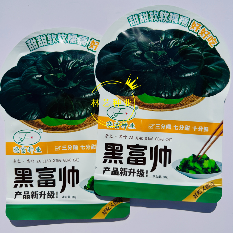 晓富黑富帅杂交黑叶青梗菜种子大头束腰纤维少鲜甜叶片厚有光