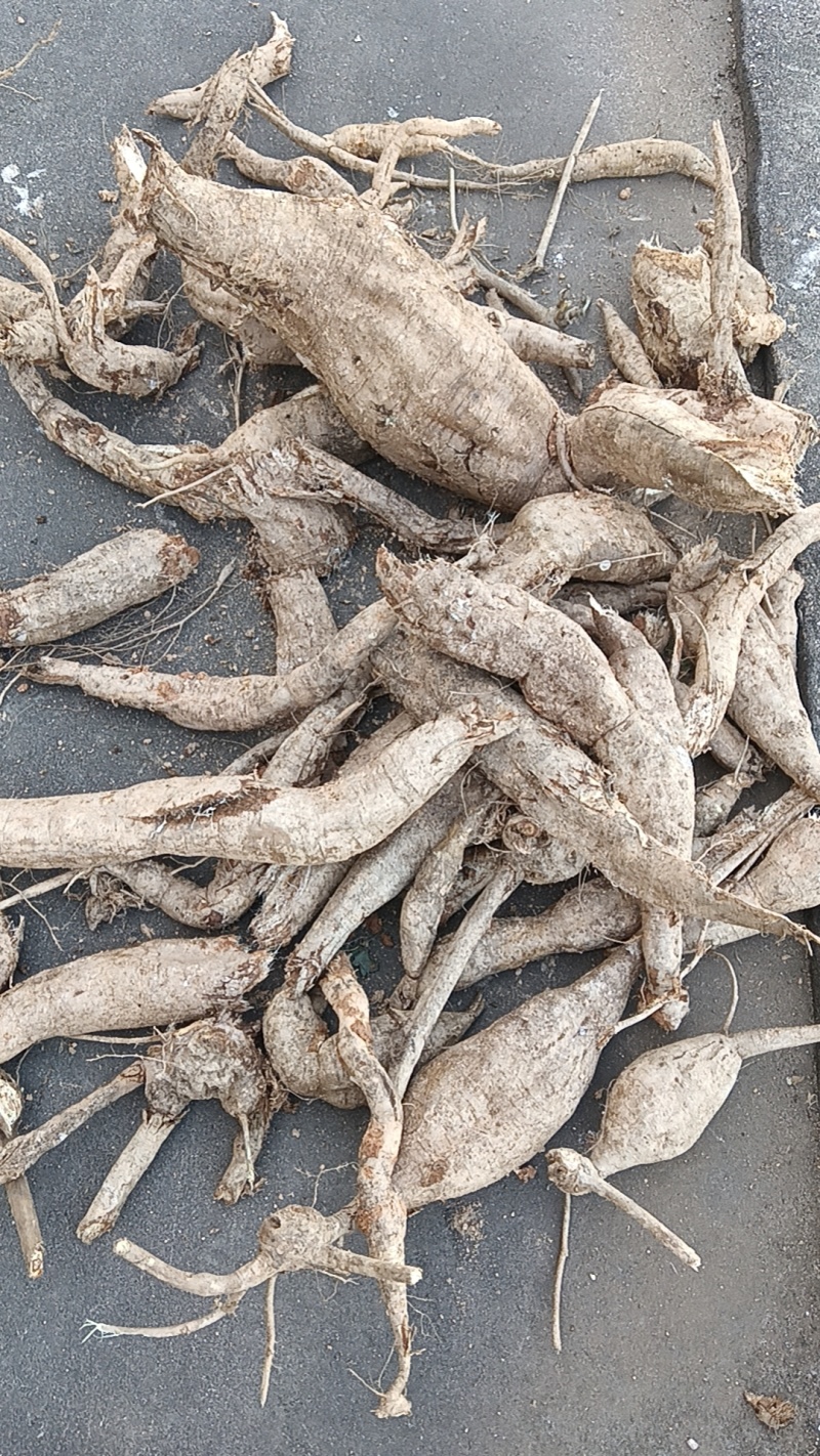 葛根粉