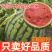 苏鲁豫皖精品西瓜，品质好，质量有保障，需要的请联系