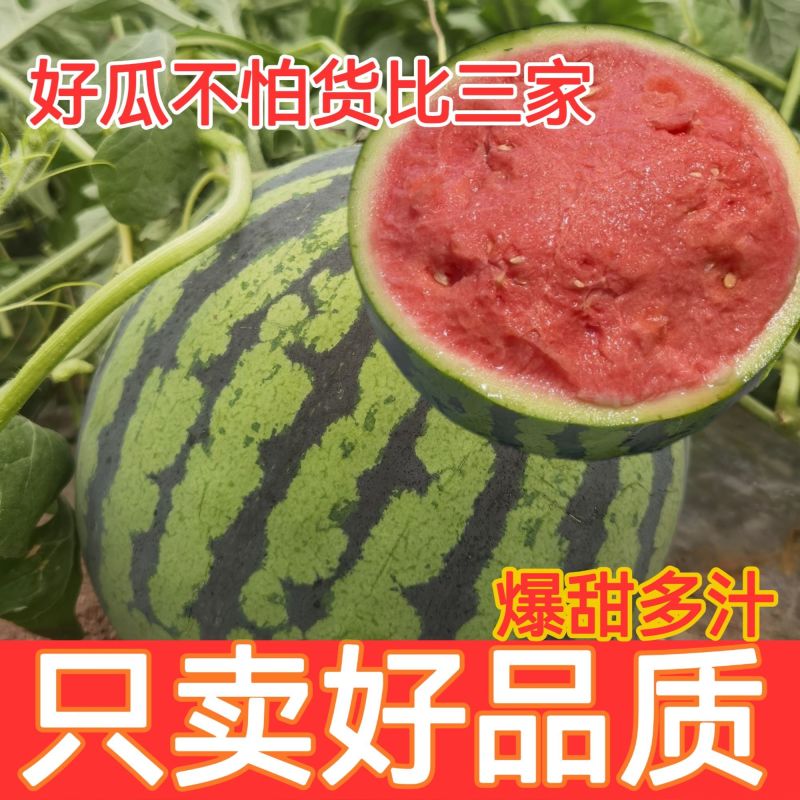苏鲁豫皖精品西瓜，品质好，质量有保障，需要的请联系