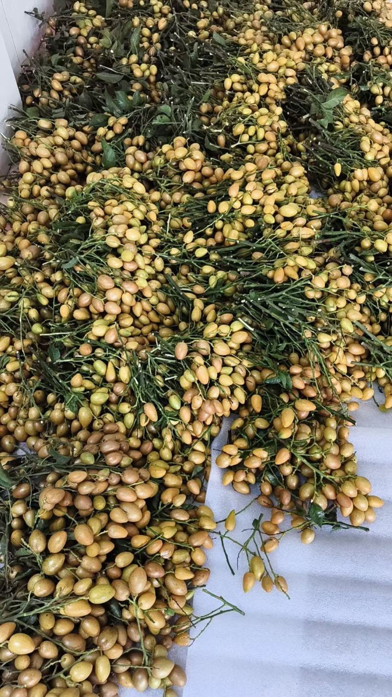 鸡心黄皮果奶茶店