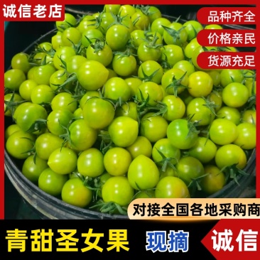 青甜圣女果/基地直发/货源充足/大量现货
