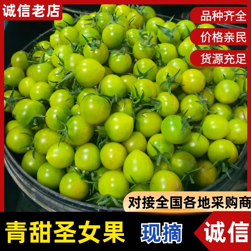 青甜圣女果/基地直发/货源充足/大量现货